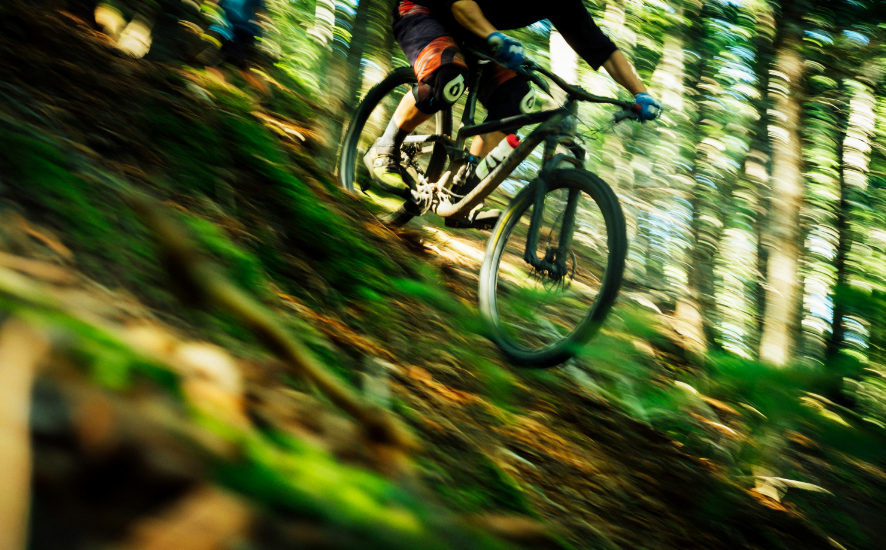 Downhill mountain biker