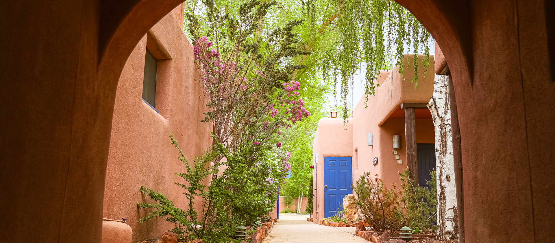 Adobe courtyard with greenery and blue door