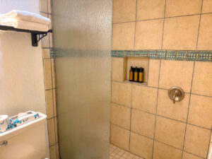 Shower in deluxe king ensuite bathroom