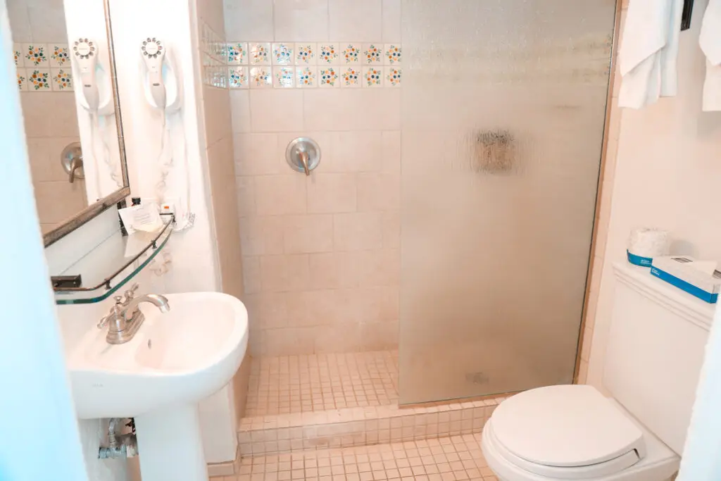 Single full room ensuite shower, sink and vanity, and toilet