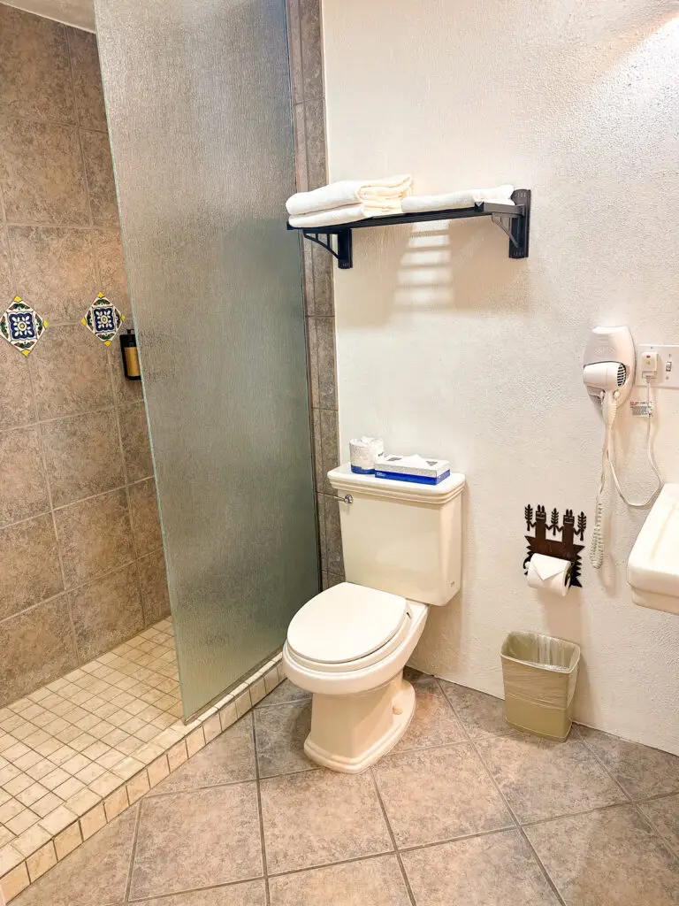 Ensuite shower and toilet in queen suite