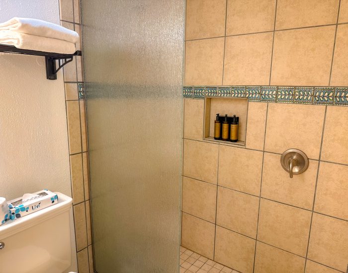 Shower in deluxe king ensuite bathroom