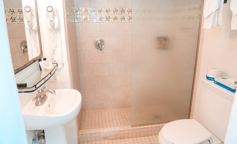 Single full room shower, sink and vanity, and toilet