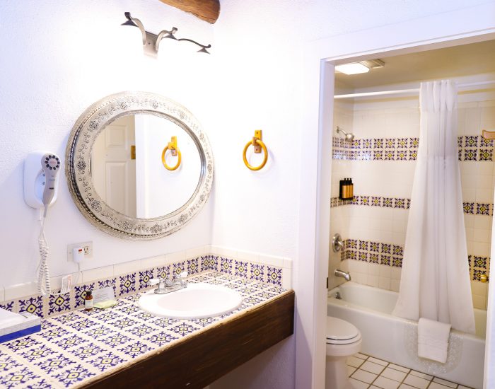 Ensuite sink and vanity, toilet, and tub in standard king