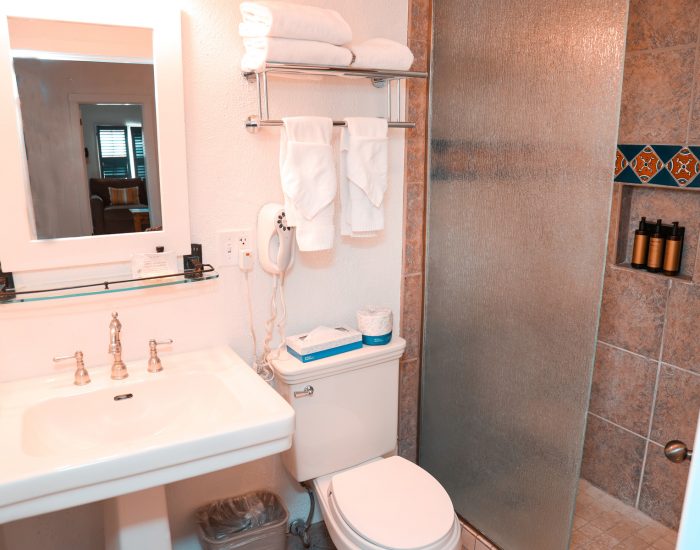 Ensuite sink and vanity, toilet, and shower in king suite